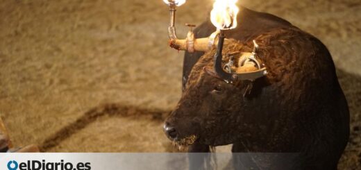 El Parlament da el primer paso para prohibir festejos taurinos como el "bu embolat" o los "toros a la mar"