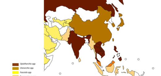 Revisión epidemiológica de los trematodos hepáticos en Asia