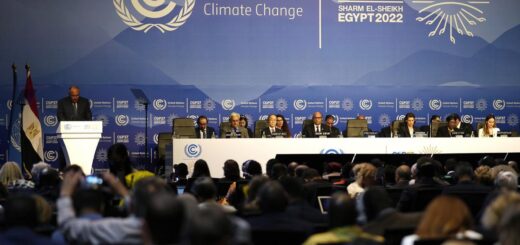 ¿Qué se abordará en la COP28, la controvertida cumbre climática presidida por un jeque del petróleo?