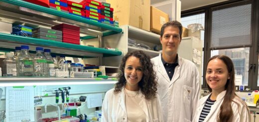 Científicos españoles descifran el mecanismo de una proteína clave en la metástasis del cáncer de mama