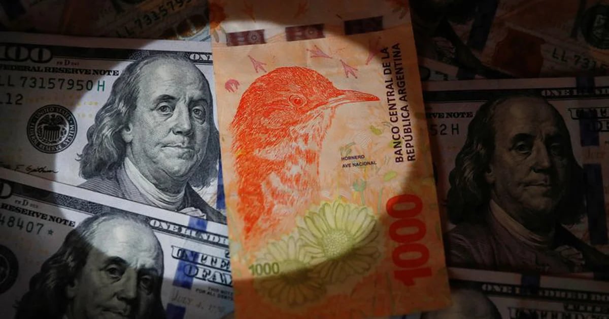 Con dudas sobre la brecha cambiaria y el ingreso de divisas, debuta el nuevo dólar exportador