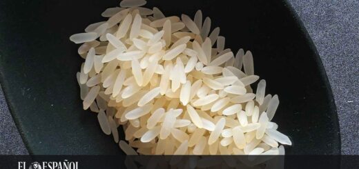 Esto es lo que dice la ciencia sobre comer arroz más de tres veces por semana en España