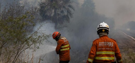 Los incendios arrasan el Pantanal de Brasil, el humedal más grande del planeta