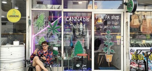 Tailandia les prometió muy feliz cuando despenalizó el cannabis.  Ahora ha tenido que dar marcha atrás