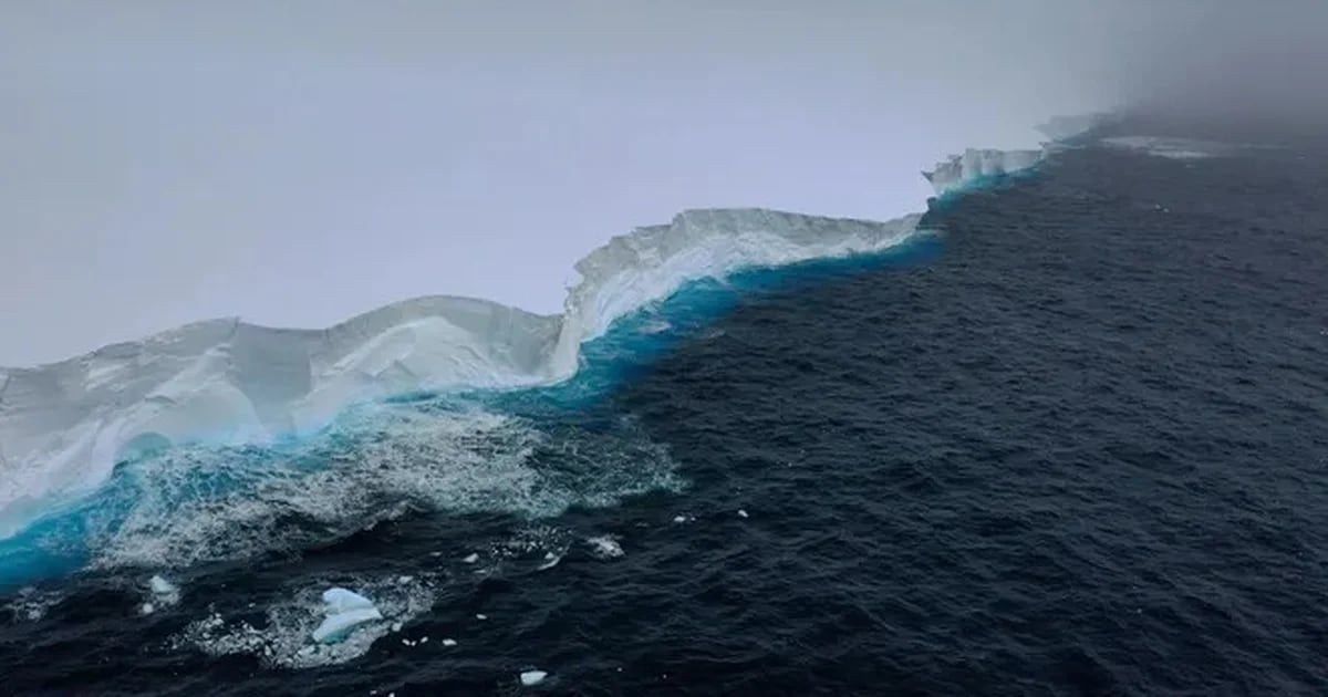 Vídeo: el iceberg más grande del mundo continúa su recorrido y estudian cómo afecta las zonas por las que pasa